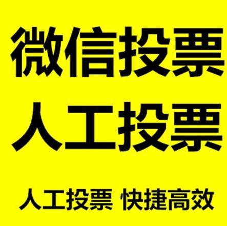 南充市投票活动拉票能被查出来吗？如何操作能不被发现？